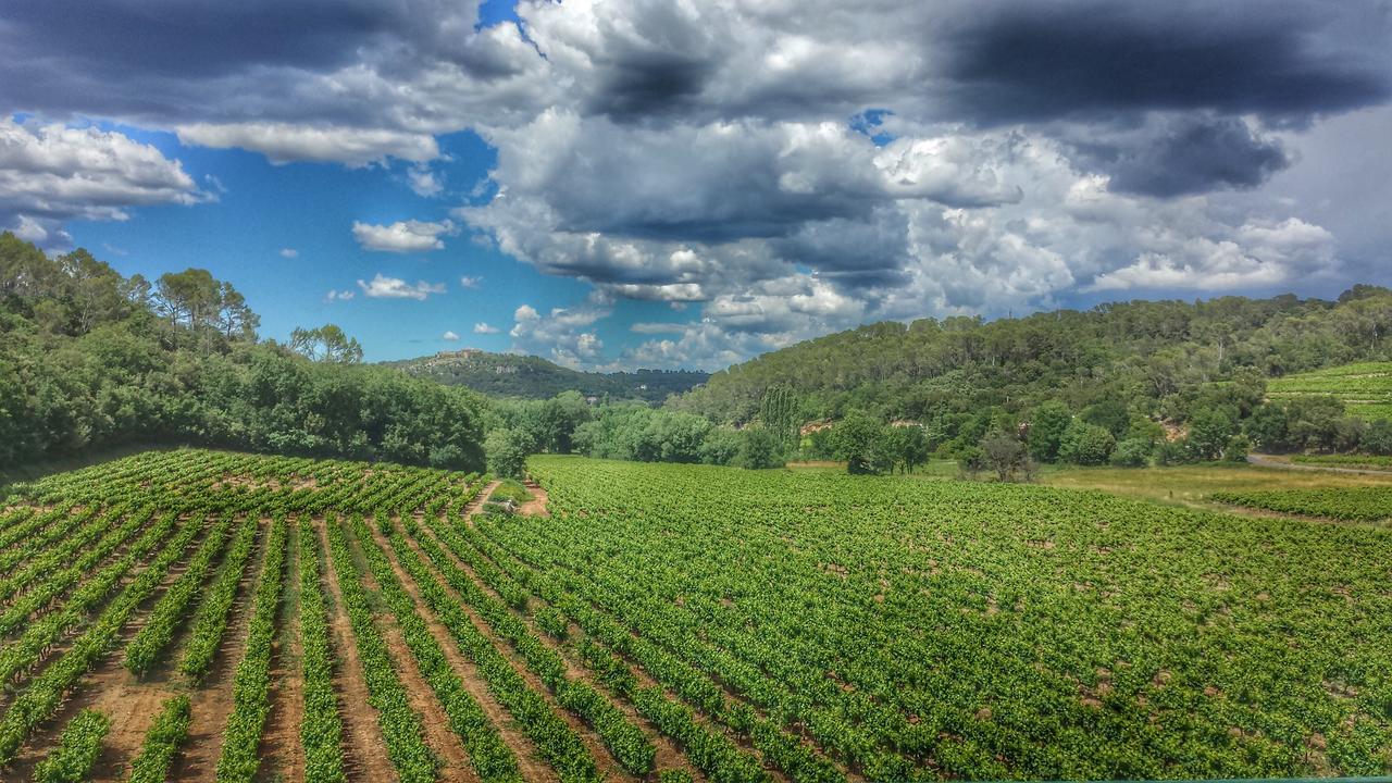 Bed and Breakfast Le Domaine Saint Martin Flassans-sur-Issole Екстер'єр фото