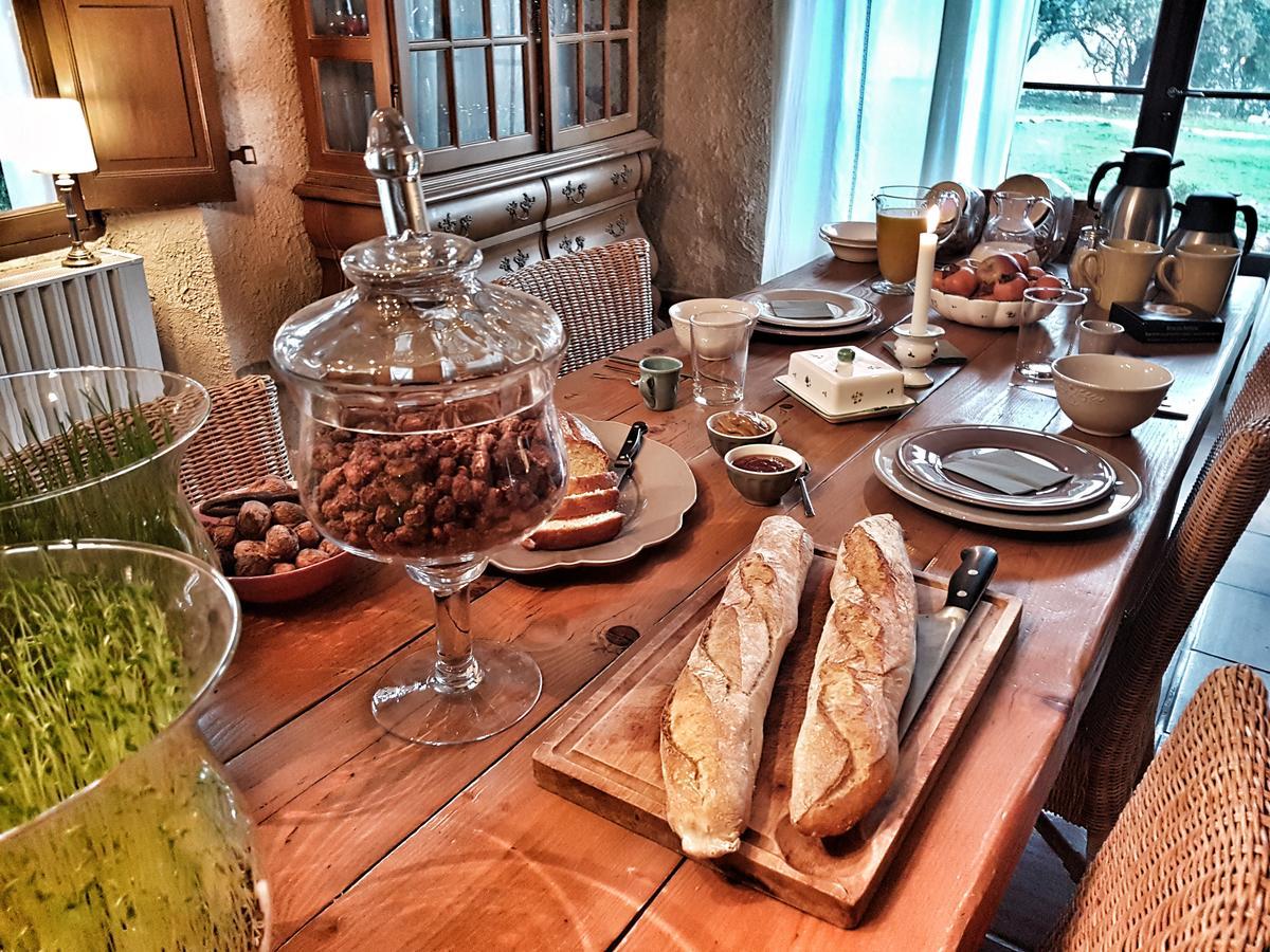 Bed and Breakfast Le Domaine Saint Martin Flassans-sur-Issole Екстер'єр фото