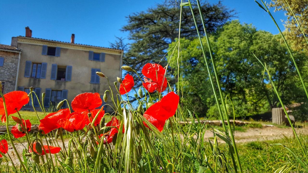 Bed and Breakfast Le Domaine Saint Martin Flassans-sur-Issole Екстер'єр фото